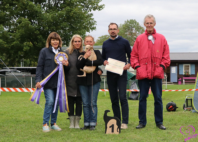 Unsere Doppelveranstaltung im September 2022