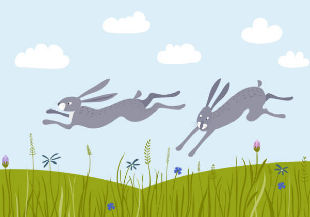 Coursingsaison startet mit einem Training am 22.3.2026