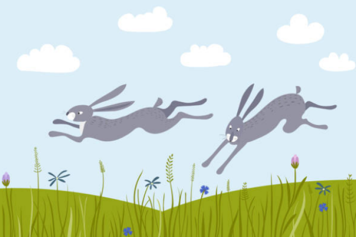 Coursingsaison startet mit einem Training am 22.3.2026