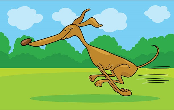 “ Winterpause “ COURSING – TERMINE 2022