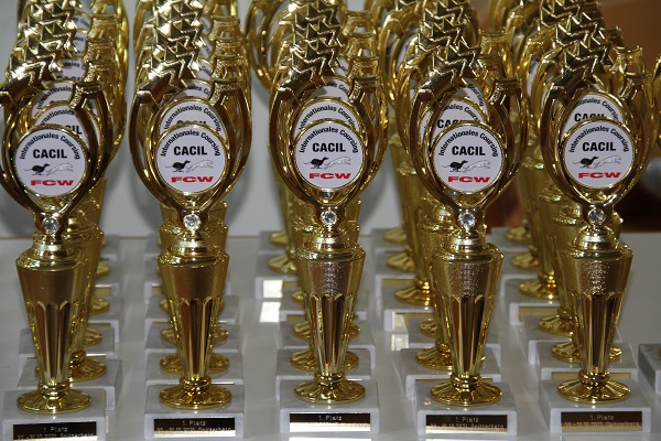 30.-31.10.2021 am Spitzerberg war unses letztes Intern. Coursing mit CACIL Vergabe der FCI.